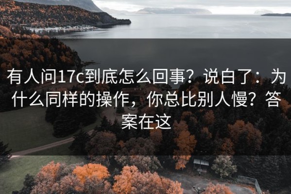 有人问17c到底怎么回事？说白了：为什么同样的操作，你总比别人慢？答案在这